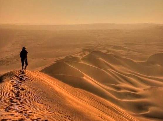 Joet Site | Guided Dune Walks: Explore stunning dunes on a guided walk