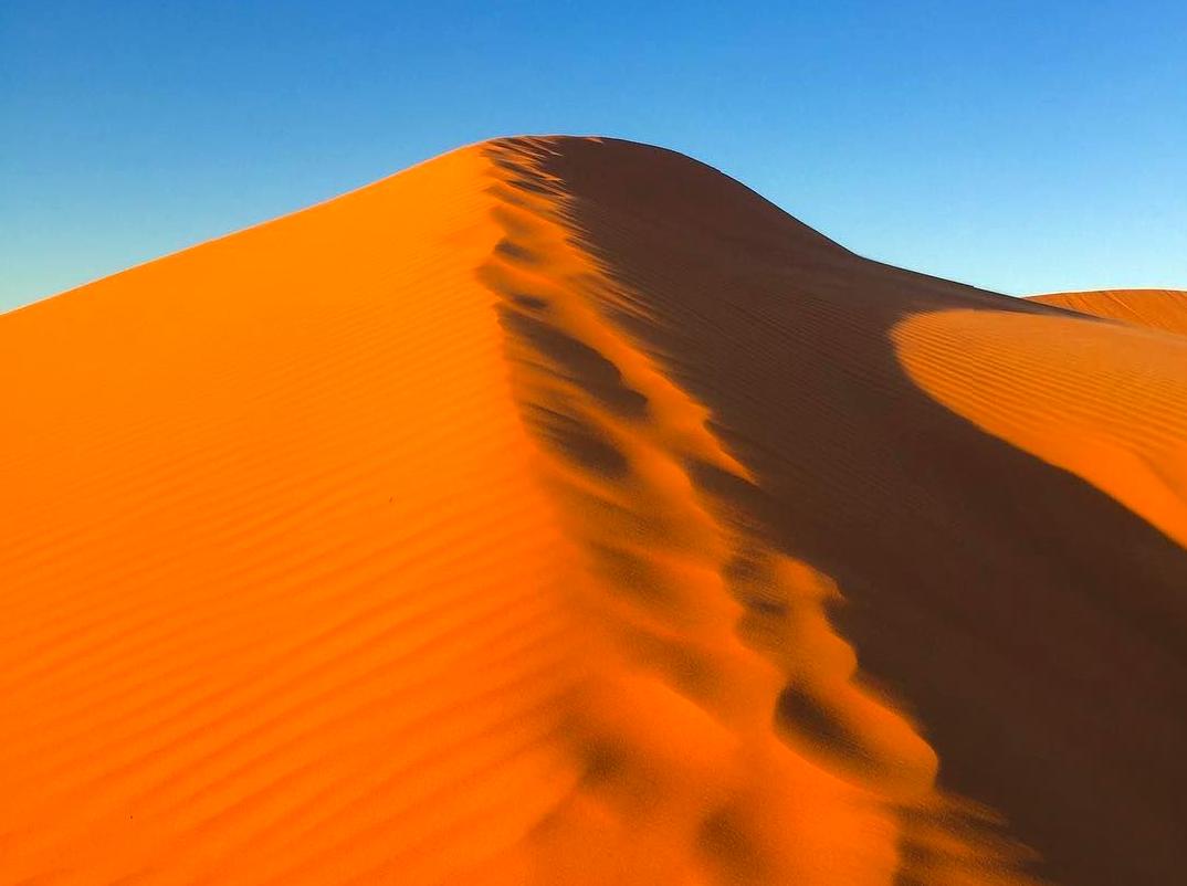 Experience Dune Wonders: Take a guided stroll through beautiful dunes.