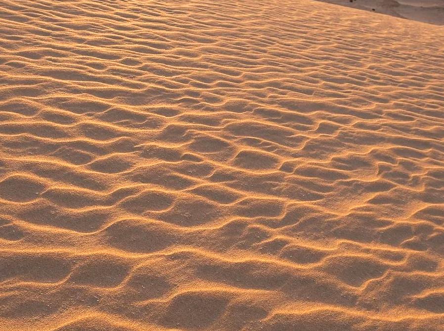 Discover Dune Beauty: Go on a guided walk through impressive sand formations.