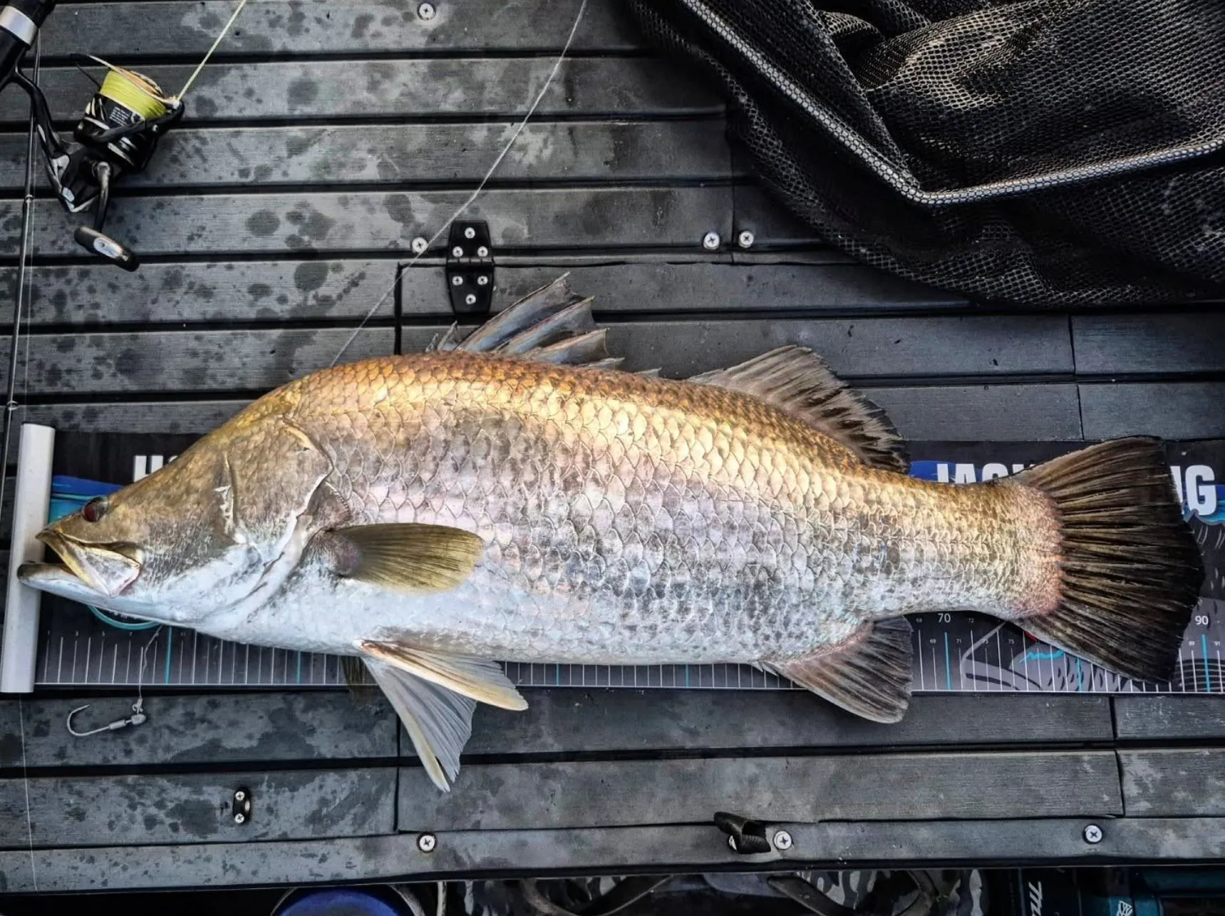 Joet Site | Barramundi Fishing Katherine River