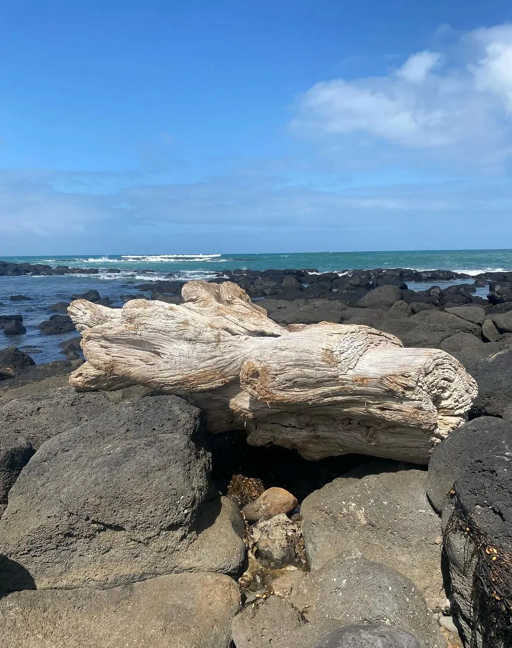 Joet Site | Where Does the Great Ocean Road End?