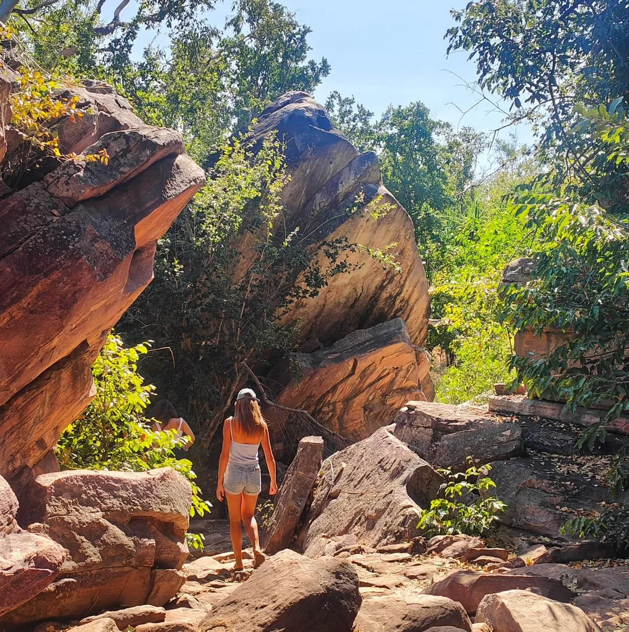 Joet Site | Is Kakadu a Man-Made Landscape? Joet Site | Is Kakadu a Man-Made Landscape?