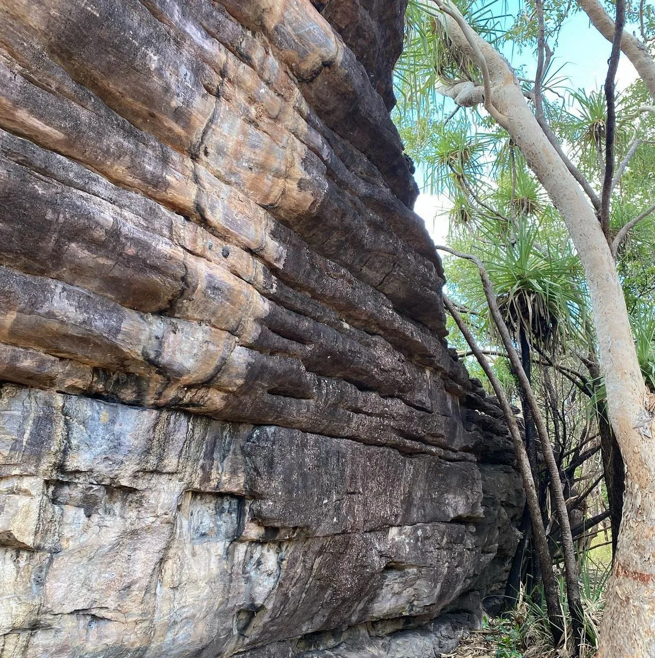 Joet Site | Is Kakadu a Man-Made Landscape? Joet Site | Is Kakadu a Man-Made Landscape?